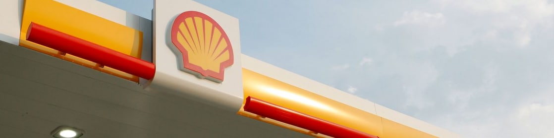 shell pecten with sky and clouds